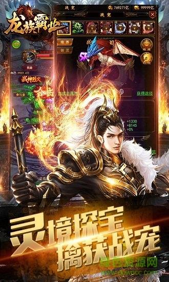 龙族霸业之单职业传奇  v1.08图3