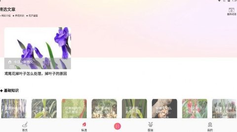 我的开心花园  v1.4图2