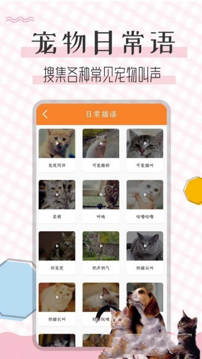 猫语翻译宝  v1.1.6图3