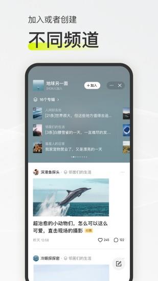 迷岛  v1.0.0图2