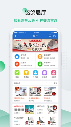 中国信鸽信息网  v20230528图3