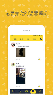 陪彼宠物  v1.0.1图1