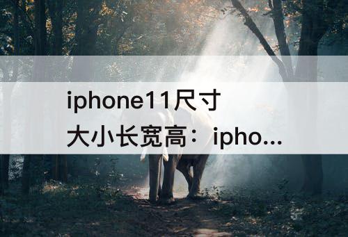 iphone11尺寸大小长宽高：iphone11尺寸大小长宽高 厘米