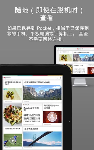 Pocket  v5.4图1