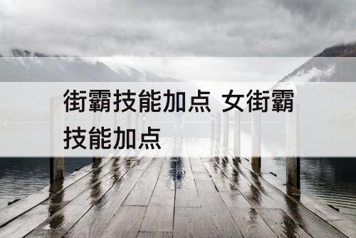 街霸技能加点 女街霸技能加点
