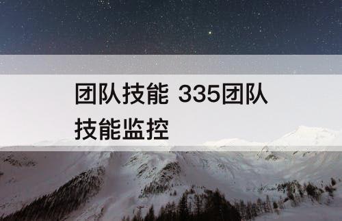 团队技能 335团队技能监控