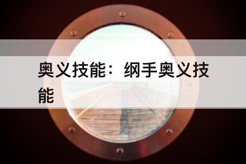 奥义技能：纲手奥义技能