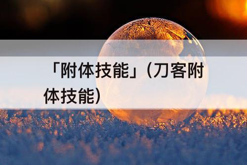 「附体技能」(刀客附体技能)