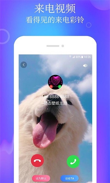 闪闪动态壁纸主题  v1.2.8图2