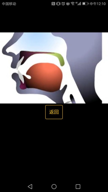 英语国际音标学习  v1.3.1图1