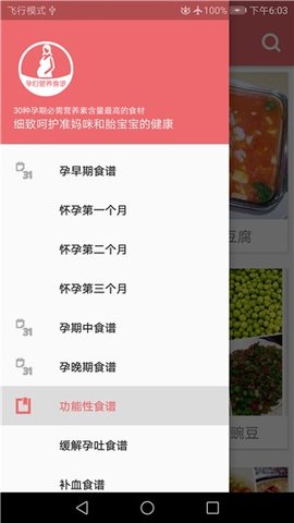 孕妇营养食谱  v3.3图1