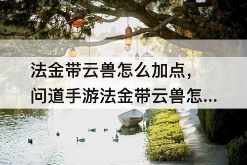 法金带云兽怎么加点，问道手游法金带云兽怎么加点