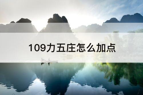 109力五庄怎么加点