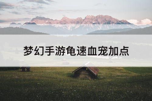 梦幻手游龟速血宠加点