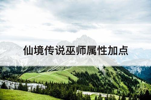 仙境传说巫师属性加点