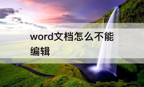 word文档怎么不能编辑