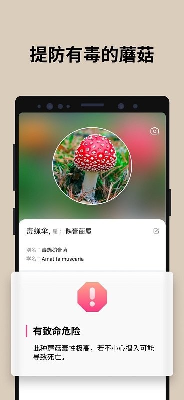 蘑菇识别2024  v2.8.13图2