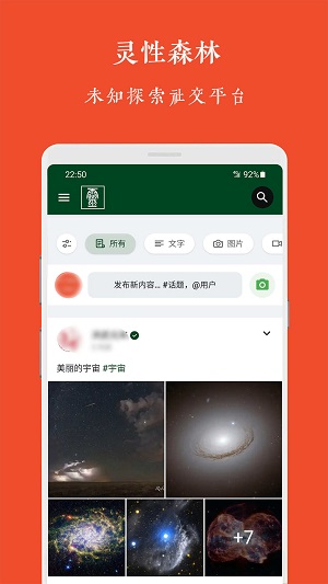 灵性森林2023  v1.0.0图1