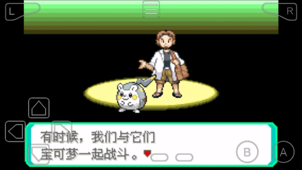 口袋妖怪黑白2破解版GBA