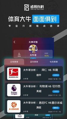 诸葛有料2024  v6.0.4图3