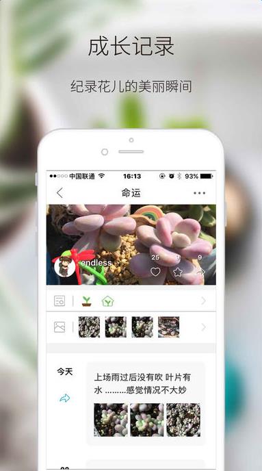 绿手指  v5.1.8图3