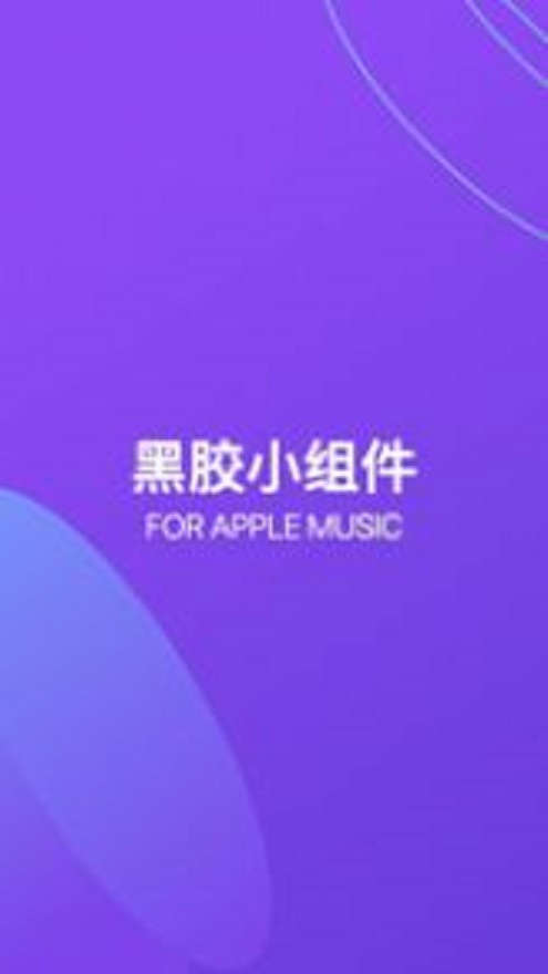 谜底黑胶安卓  v1.0.0图1