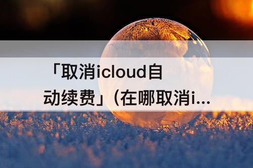 「取消icloud自动续费」(在哪取消icloud自动续费)