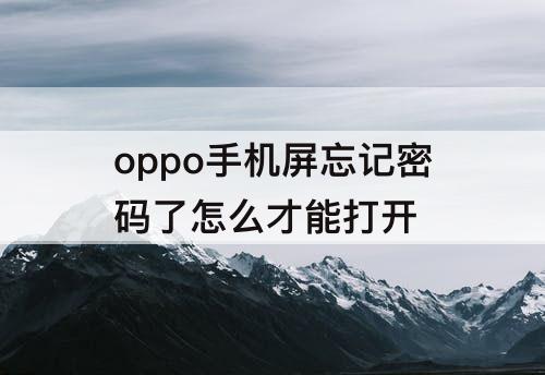 oppo手机屏忘记密码了怎么才能打开