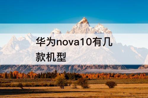 华为nova10有几款机型