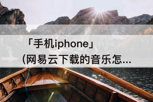 「手机iphone」(网易云下载的音乐怎么变成mp3格式苹果手机iphone11)