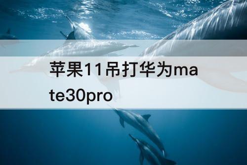 苹果11吊打华为mate30pro