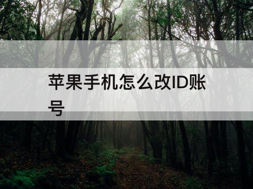 苹果手机怎么改ID账号