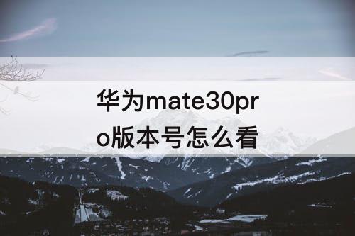 华为mate30pro版本号怎么看