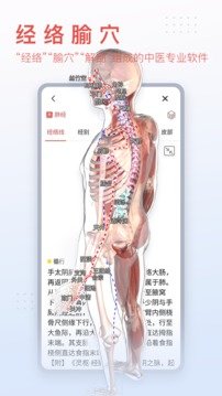 3Dbody解剖  v8.6.21图2