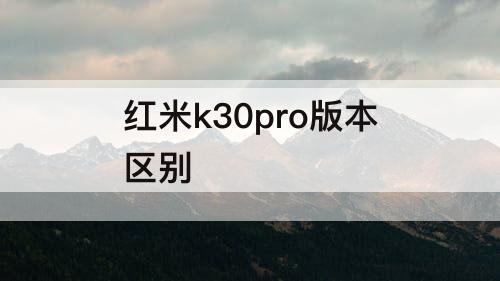 红米k30pro版本区别