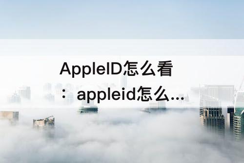 AppleID怎么看：appleid怎么看绑定的邮箱