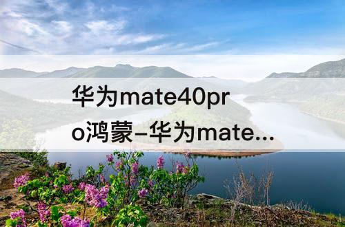 华为mate40pro鸿蒙-华为mate40pro鸿蒙退回安卓