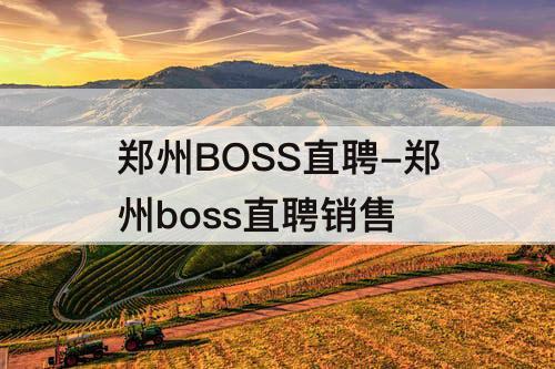 郑州BOSS直聘-郑州boss直聘销售