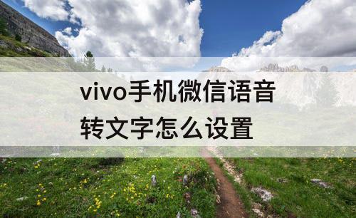 vivo手机微信语音转文字怎么设置