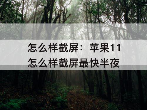 怎么样截屏：苹果11怎么样截屏最快半夜