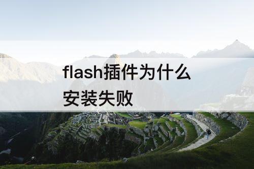 flash插件为什么安装失败