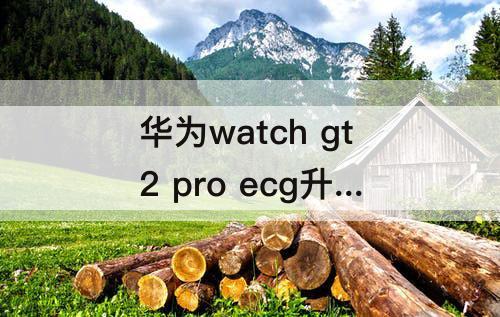 华为watch gt2 pro ecg升级鸿蒙系统