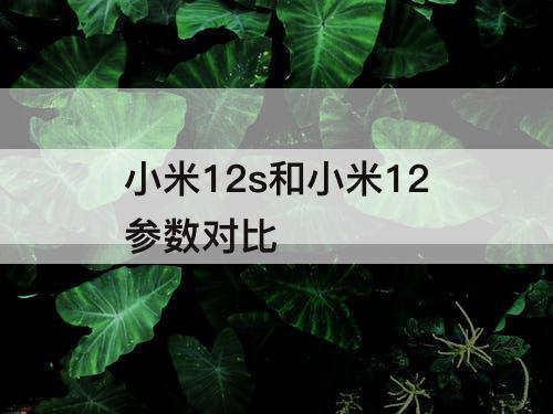 小米12s和小米12参数对比