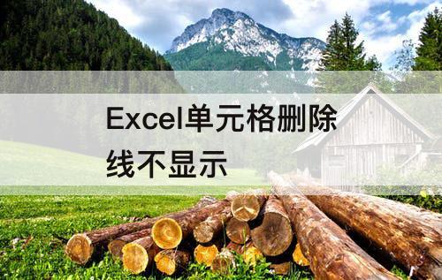 Excel单元格删除线不显示