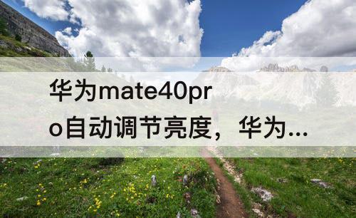 华为mate40pro自动调节亮度，华为mate40pro自动调节亮度不灵敏