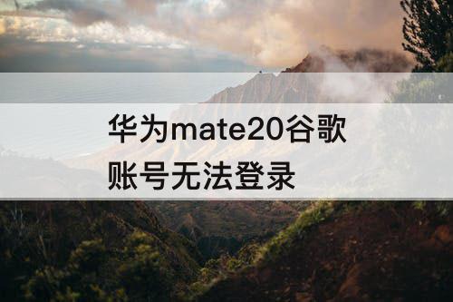 华为mate20谷歌账号无法登录