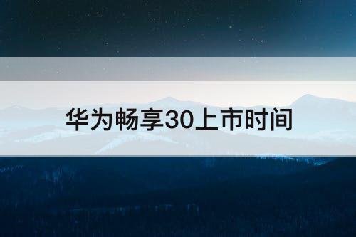 华为畅享30上市时间