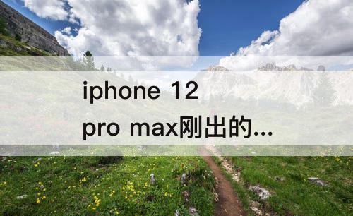 iphone 12 pro max刚出的时候多少钱