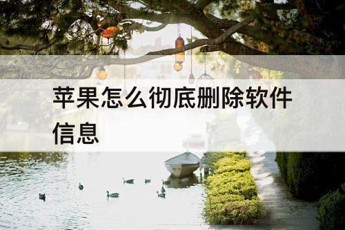 苹果怎么彻底删除软件信息