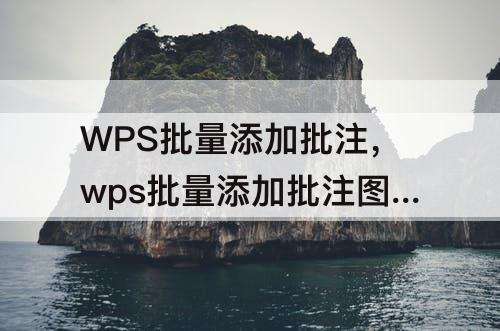 WPS批量添加批注，wps批量添加批注图片